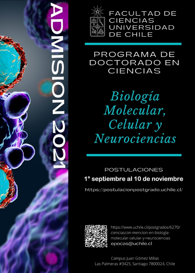 Afiche Doctorado de Ciencias