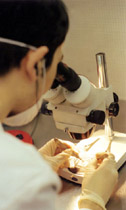 Magíster en Ciencias Biológicas