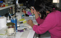 Biología con mención en Medio Ambiente