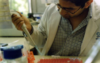Química Ambiental