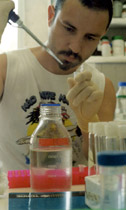 Magíster en Ciencias Químicas