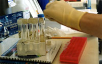 Licenciatura en Ciencias con mención en Química