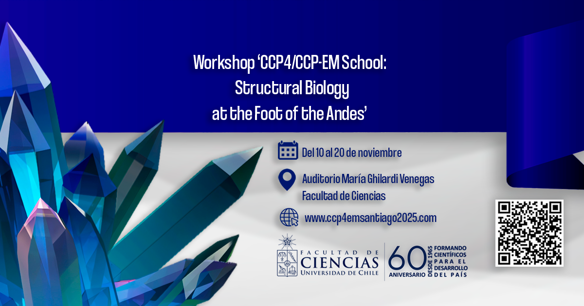 CCP4/CCP-EM School Santiago, Chile: Structural Biology at the Foot of the Andes