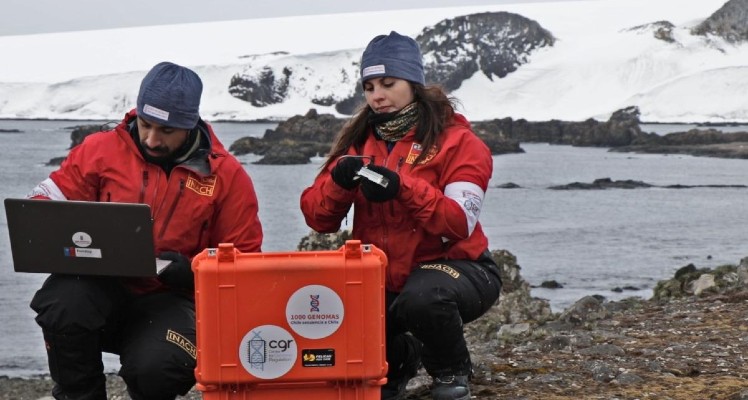 Descubren en la Antártica bacterias hiper resistentes que podrían significar un riesgo para la salud global