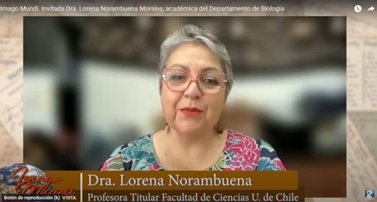 Dra. Lorena Norambuena y el equipo de su laboratorio participaron en feria científica en Colegio para niños(as) ciegos(as) o con baja visión 
